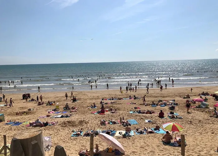 La Perle Marine - Sud Nantes Atlantic Toboggan *